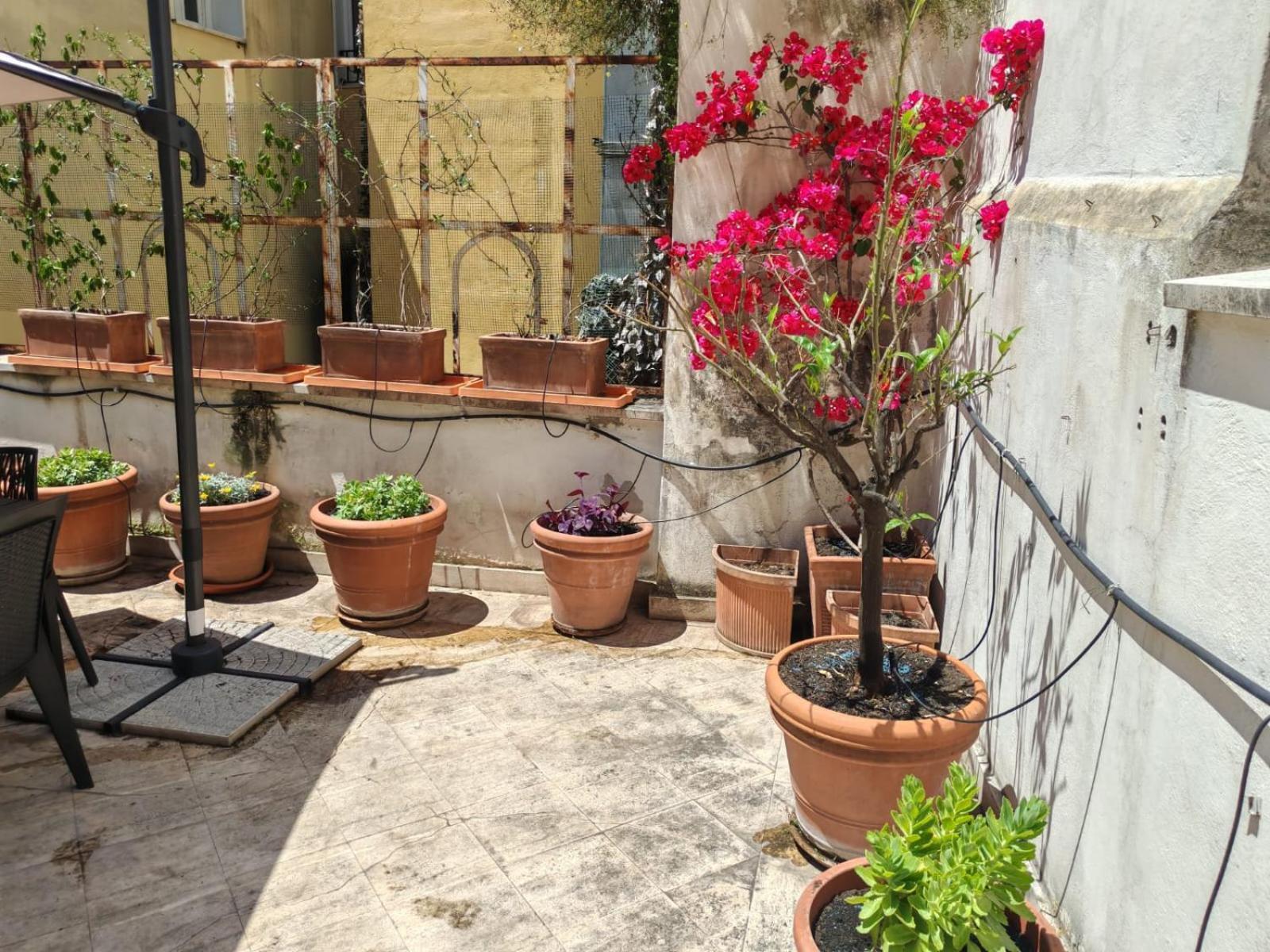 Lägenhet Casa Storica 4bdr Con Terrazza A Campo De Fiori *